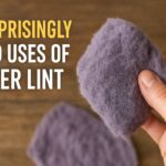Surprisingly Good Uses of Dryer Lint Featured