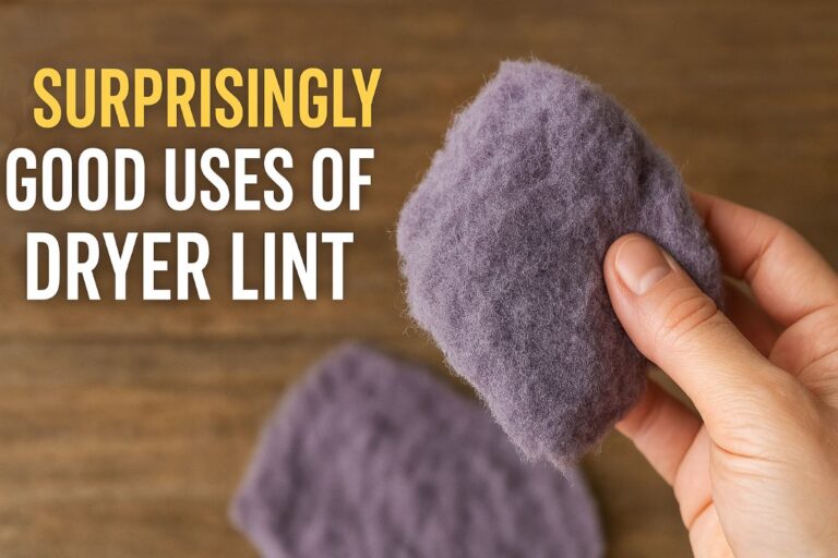 Surprisingly Good Uses of Dryer Lint Featured